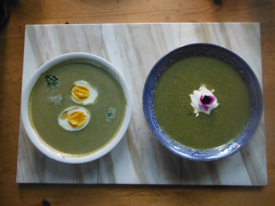 Rumex acetosa - Photo 7 sur 8