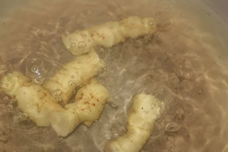 Sium sisarum - Photo 8 sur 14