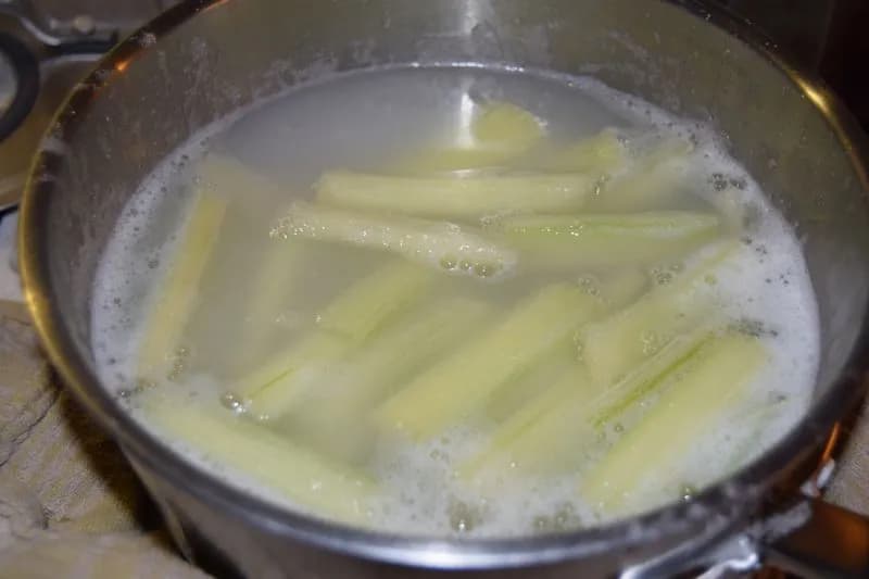 Cynara cardunculus - Photo 7 sur 12