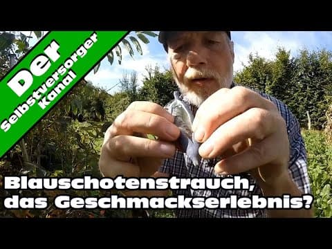 Decaisnea fargesii - Video 1